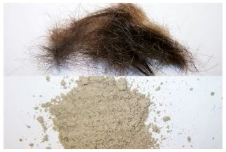 Fibris Hair