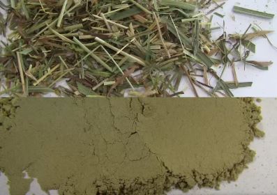 Fibrous Dried Grass