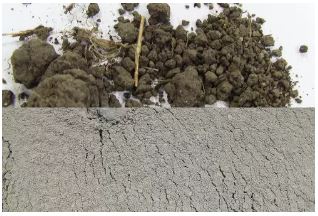 Hard Soil