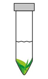 Vial 4