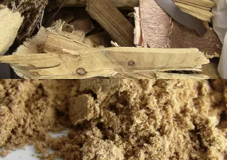 Wood